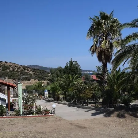 Platania Dimitris *